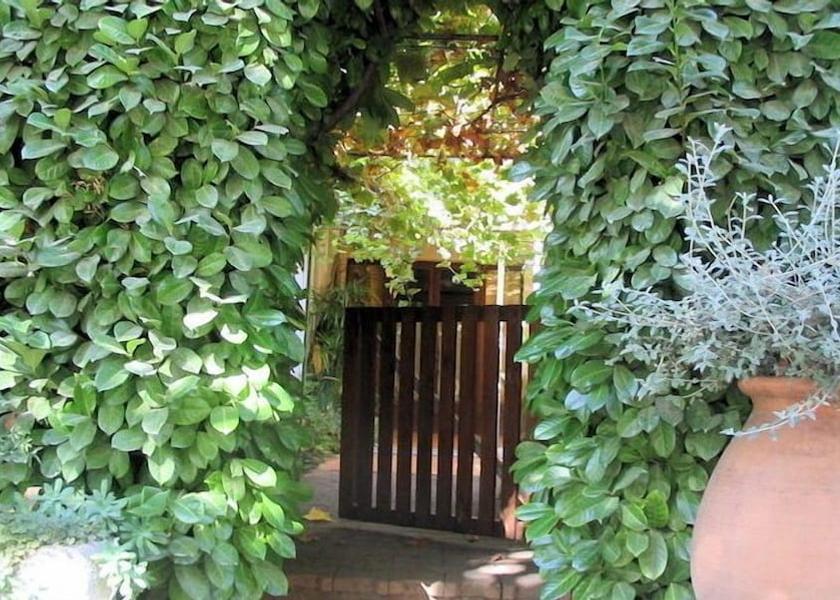 Provence - Alpes - Cote d'Azur Bedoin Garden