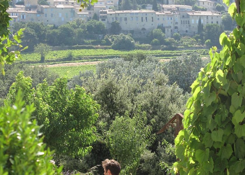 Provence - Alpes - Cote d'Azur Seguret Exterior Detail