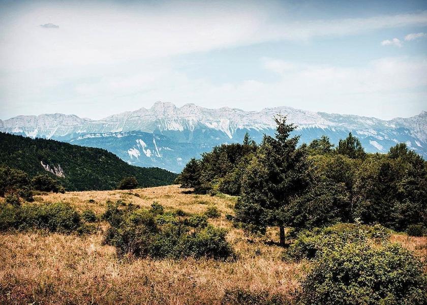 Land View from Property