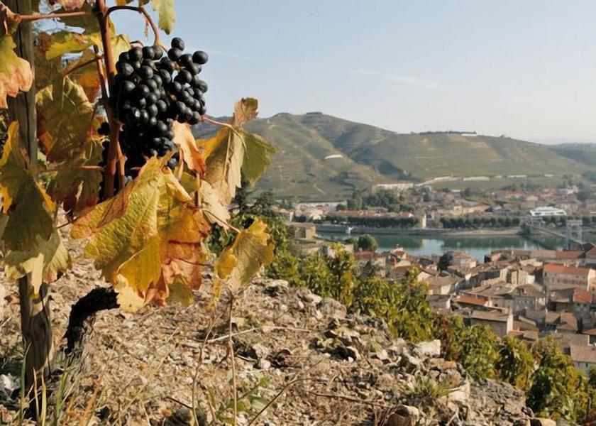 Auvergne-Rhone-Alpes Tournon-sur-Rhone Land View from Property