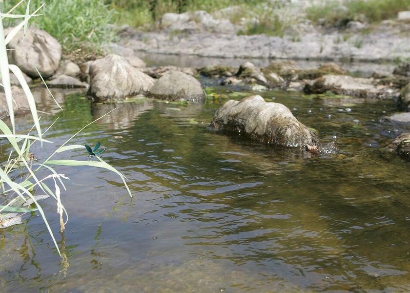 Auvergne-Rhone-Alpes Tournon-sur-Rhone Beach