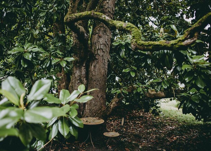 Nouvelle-Aquitaine Leoville Exterior Detail