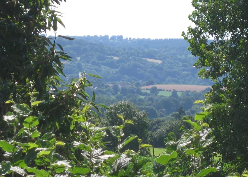 Land View from Property