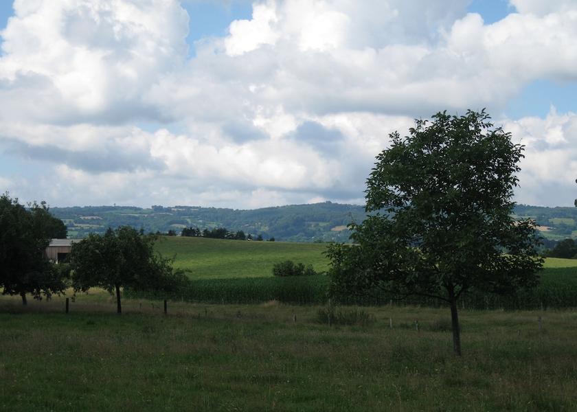 Land View from Property