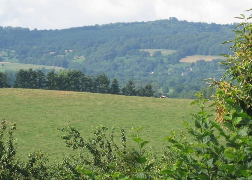 Land View from Property