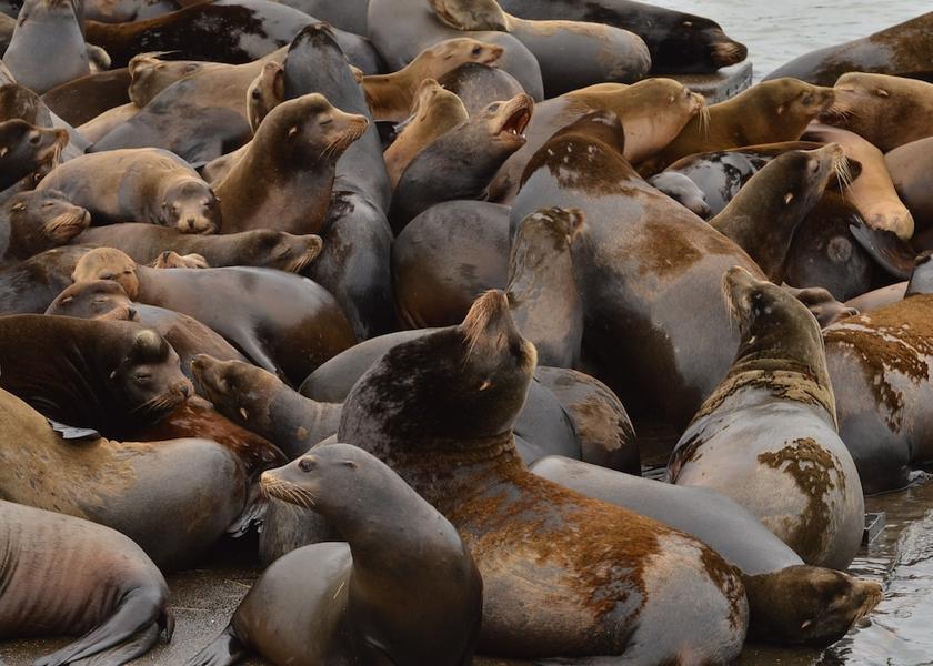 New York Astoria Interior Entrance