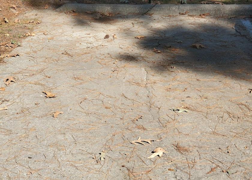 Georgia Fayetteville Property Grounds