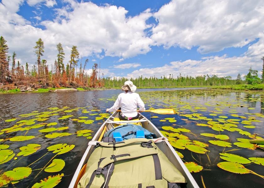 Minnesota Grand Marais Safari and game