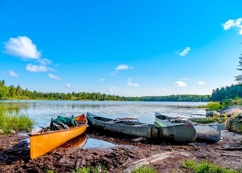 Minnesota Grand Marais Safari and game