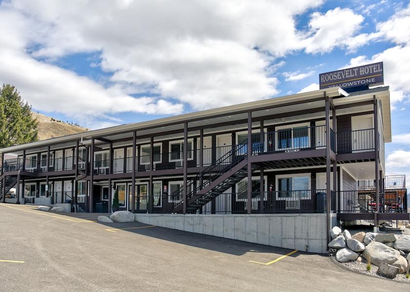 New York Gardiner Primary image