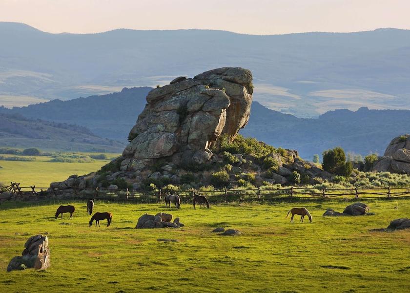 California Saratoga Exterior Detail