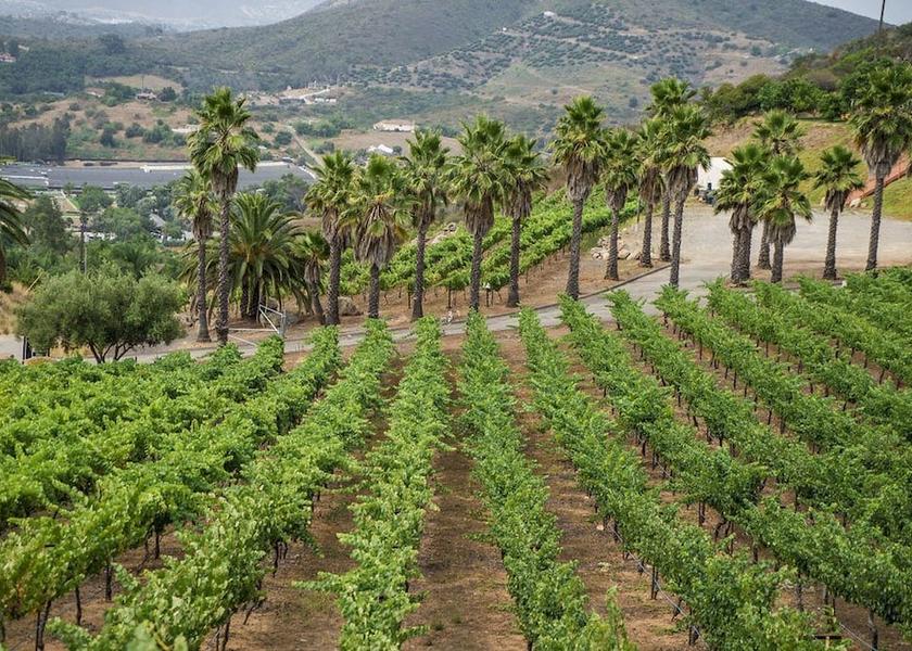 California San Marcos Property Grounds