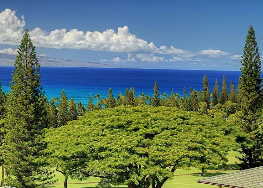 Hawaii Lahaina Amenity