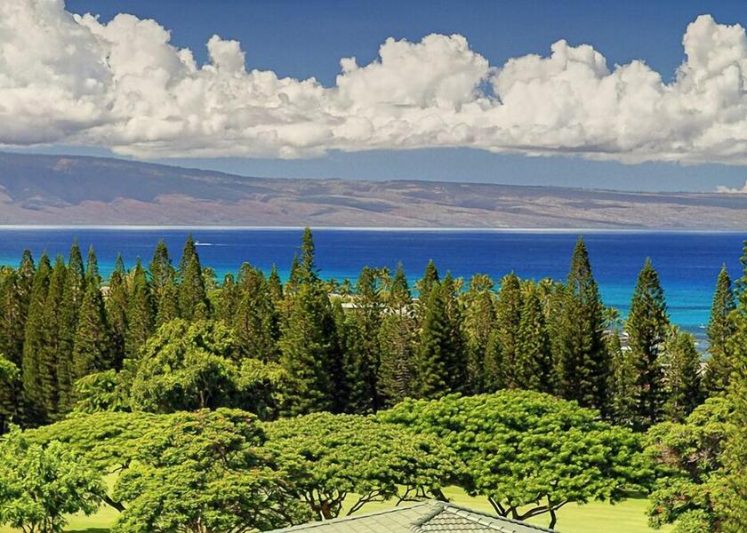 Hawaii Lahaina Primary image