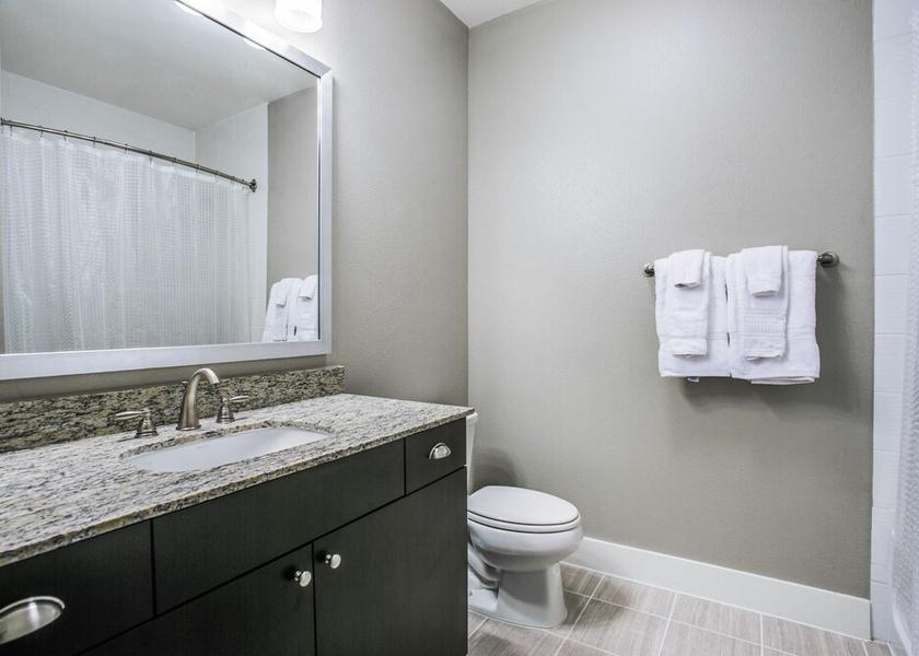 Texas Frisco Bathroom