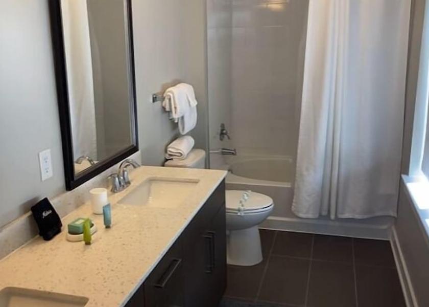 Virginia Herndon Bathroom
