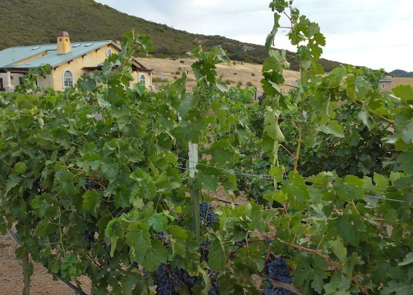 California Lower Lake Exterior Detail