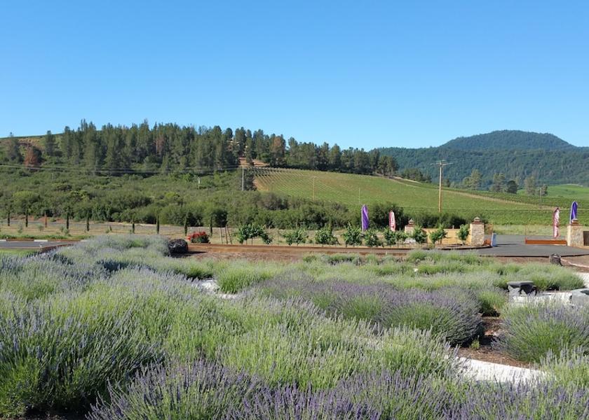 California Lower Lake Exterior Detail