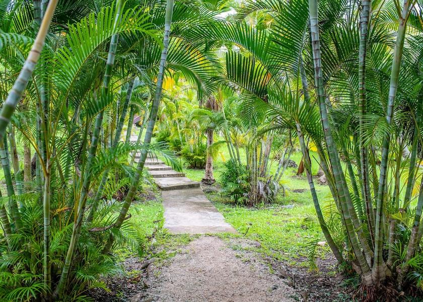 Eastern Division Kadavu Island Exterior Detail