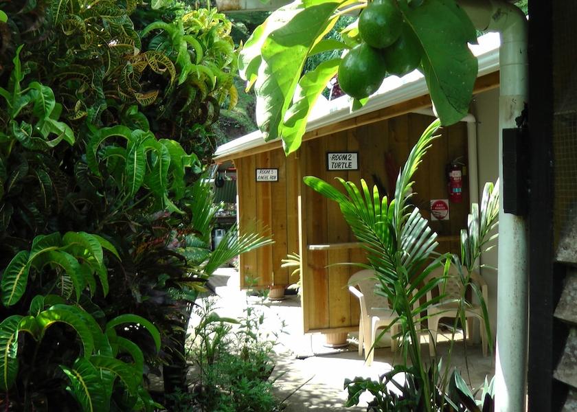 Northern Division Savusavu Terrace/patio