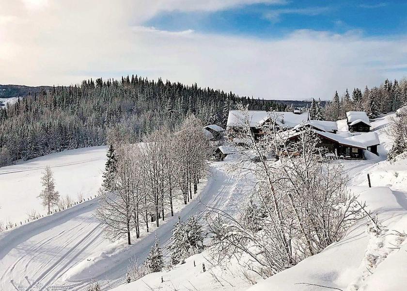 Buskerud (county) Hemsedal Primary image