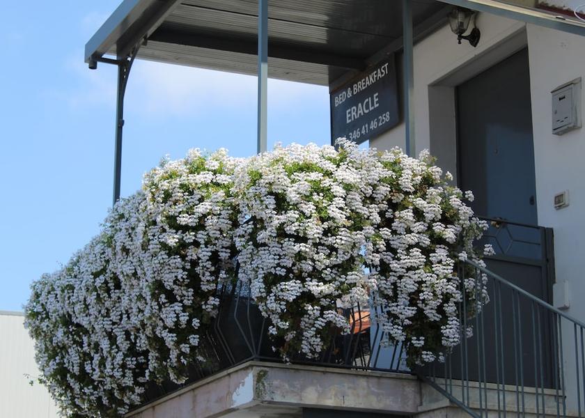 Campania Ercolano Facade