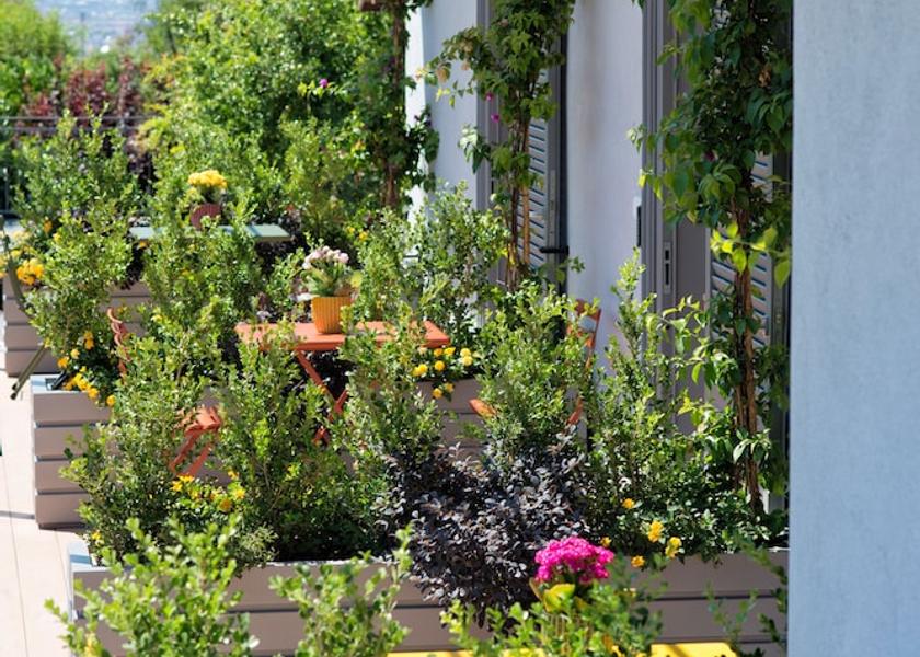 Campania Ercolano Terrace