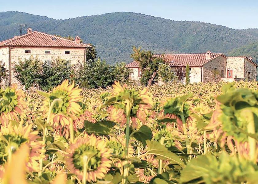 Tuscany Casole d'Elsa Exterior Detail