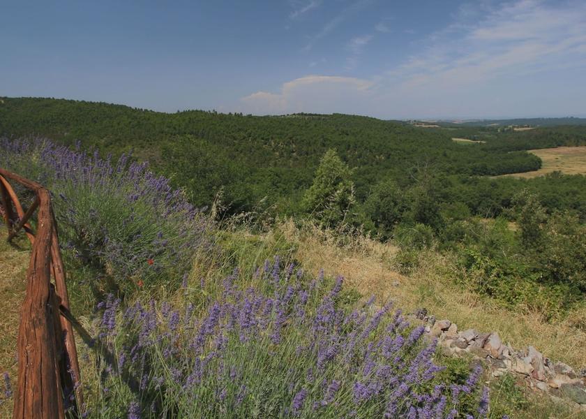 Tuscany Casole d'Elsa View from Property