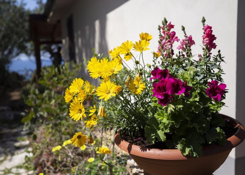 Calabria Joppolo Garden