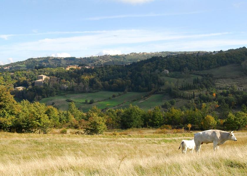 Tuscany Castiglione d'Orcia Exterior Detail