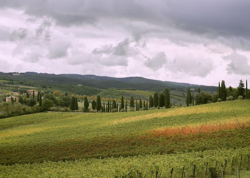 Tuscany Colle di Val d'Elsa Exterior Detail