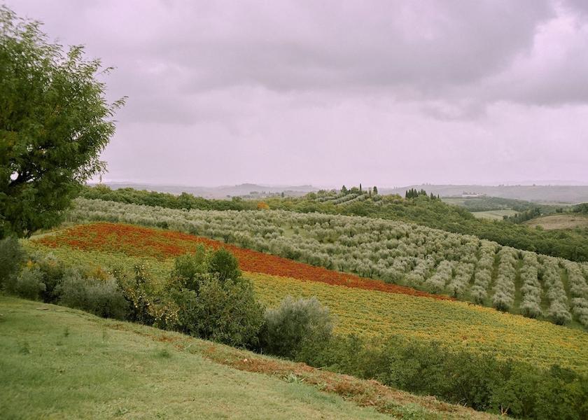 Tuscany Colle di Val d'Elsa Exterior Detail