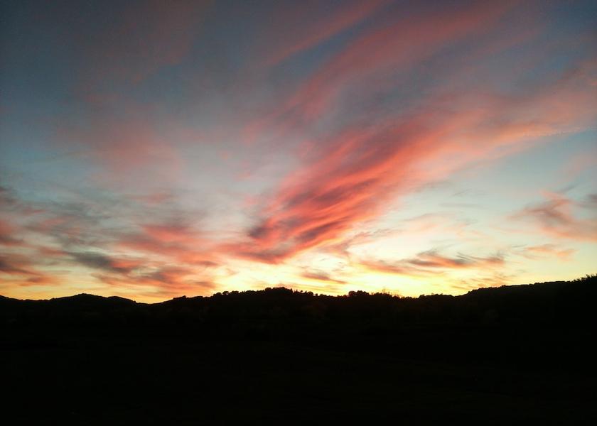 Tuscany Colle di Val d'Elsa View from Property