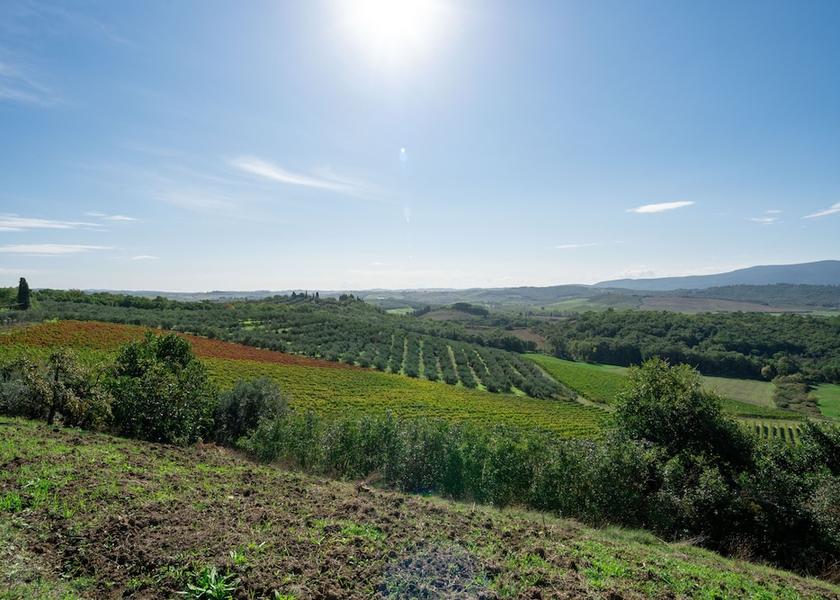 Tuscany Colle di Val d'Elsa Exterior Detail