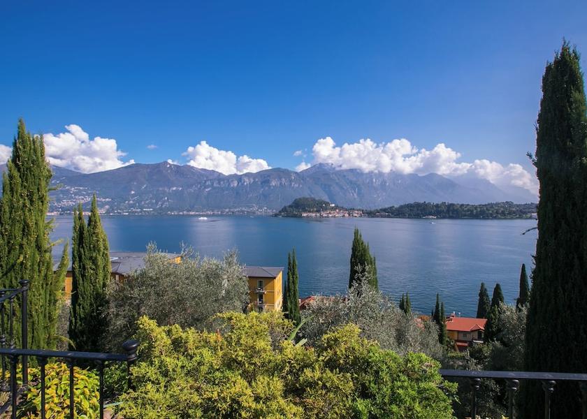 Lombardy Griante Primary image