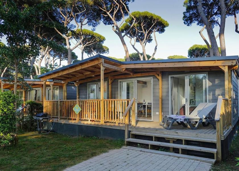 Tuscany Montescudaio Terrace