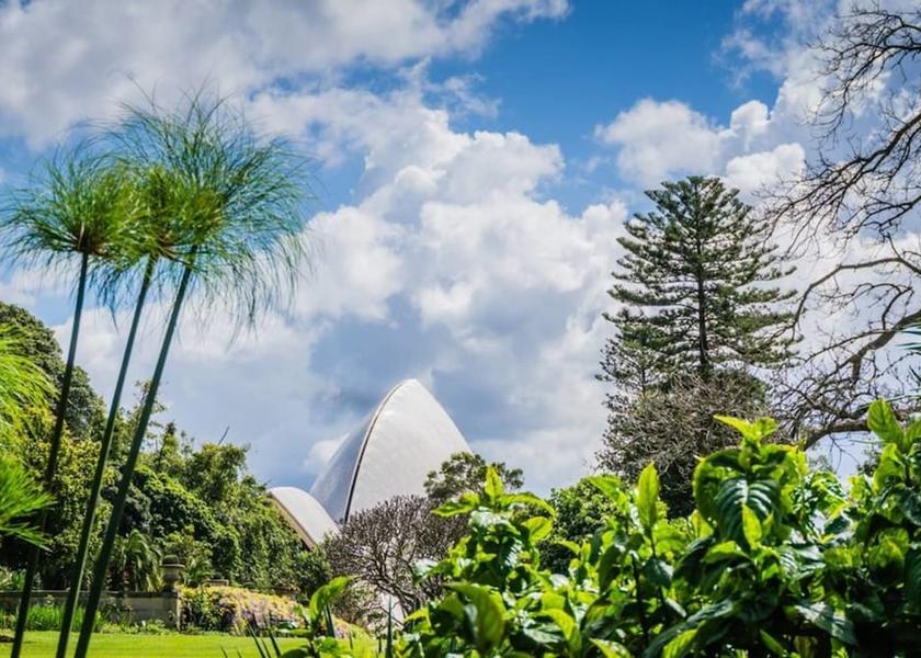 New South Wales Sydney Property Grounds