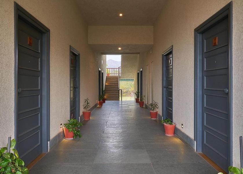 Rajasthan Udaipur Outdoors