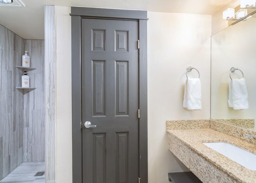 Colorado Telluride Bathroom
