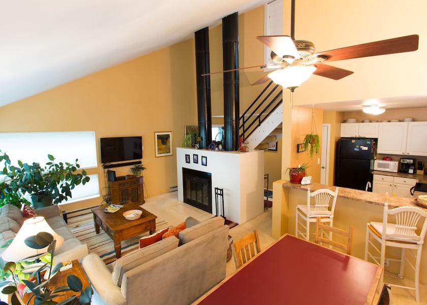 Colorado Vail Living Area