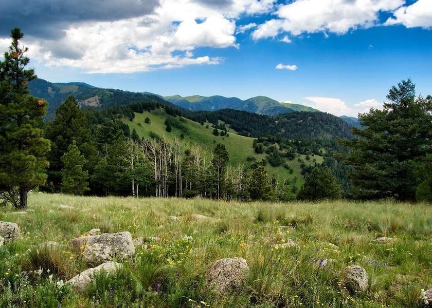 New Mexico Ruidoso Property Grounds