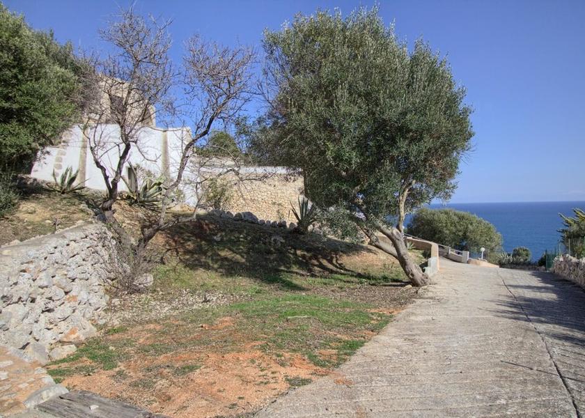 Puglia Gagliano del Capo Property Grounds