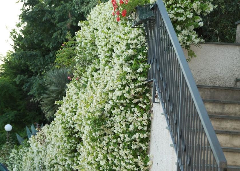 Lombardy Moniga del Garda Exterior Detail