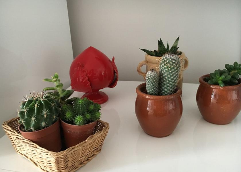 Puglia Polignano A Mare Interior Entrance