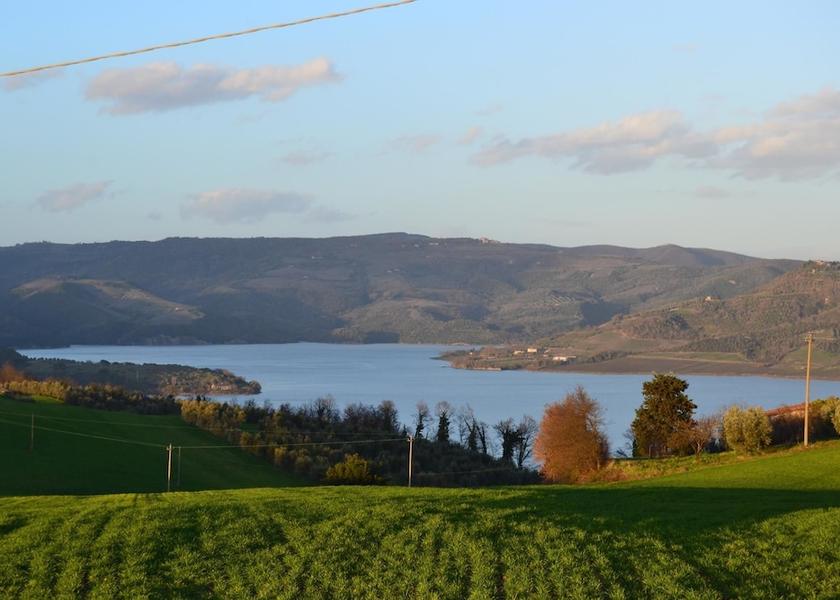 Umbria Baschi Land View from Property