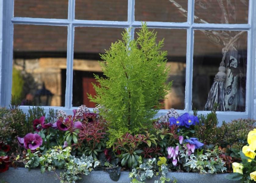 England Bakewell Garden