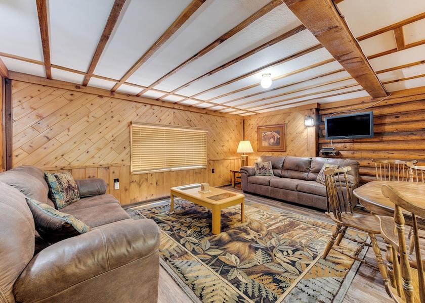 Colorado South Fork Living Area