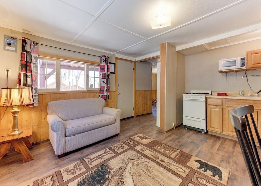 Colorado South Fork Living Area