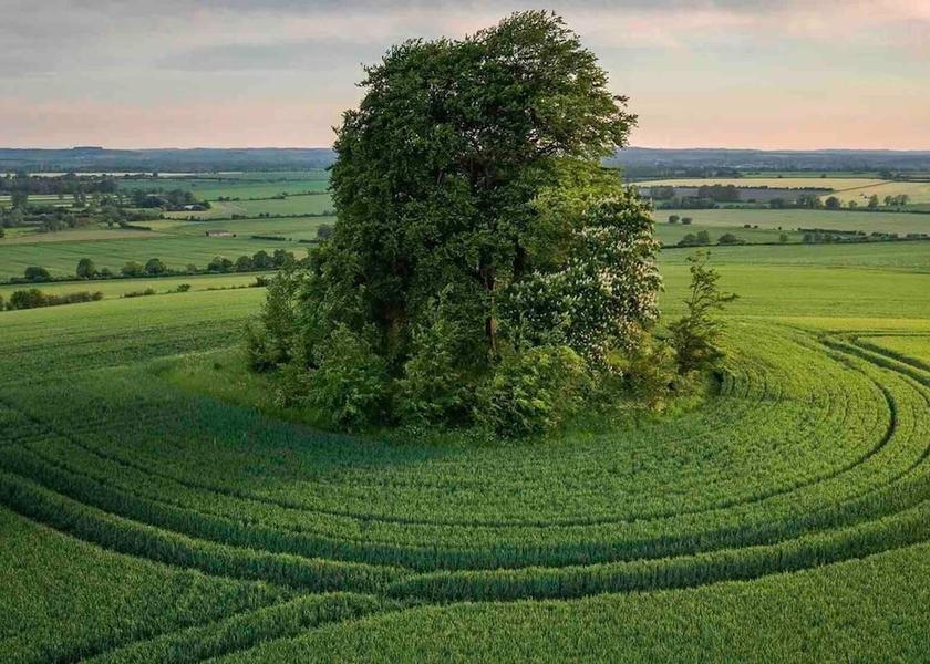 England Didcot Garden